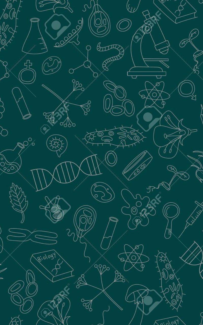 Seamless Background With Hand Drawn Icons On The