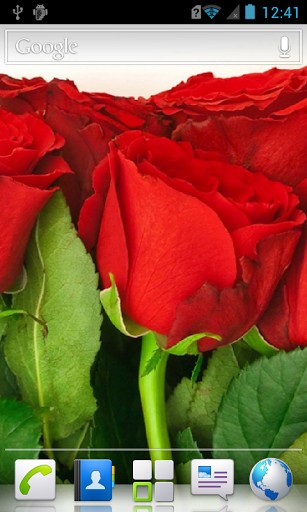 Roses HD Live Wallpaper Gentle Flower For Your Mobile