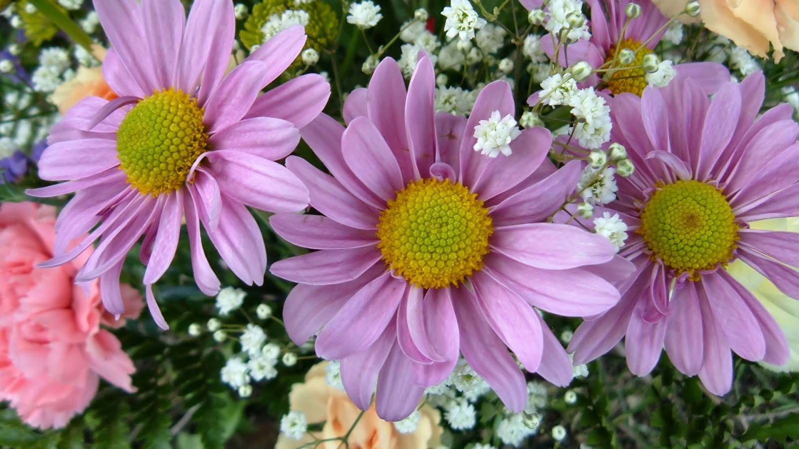 Floral Desktop Wallpaper