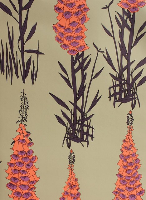 Foxglove Wallpaper Orange And Purple Eclectic