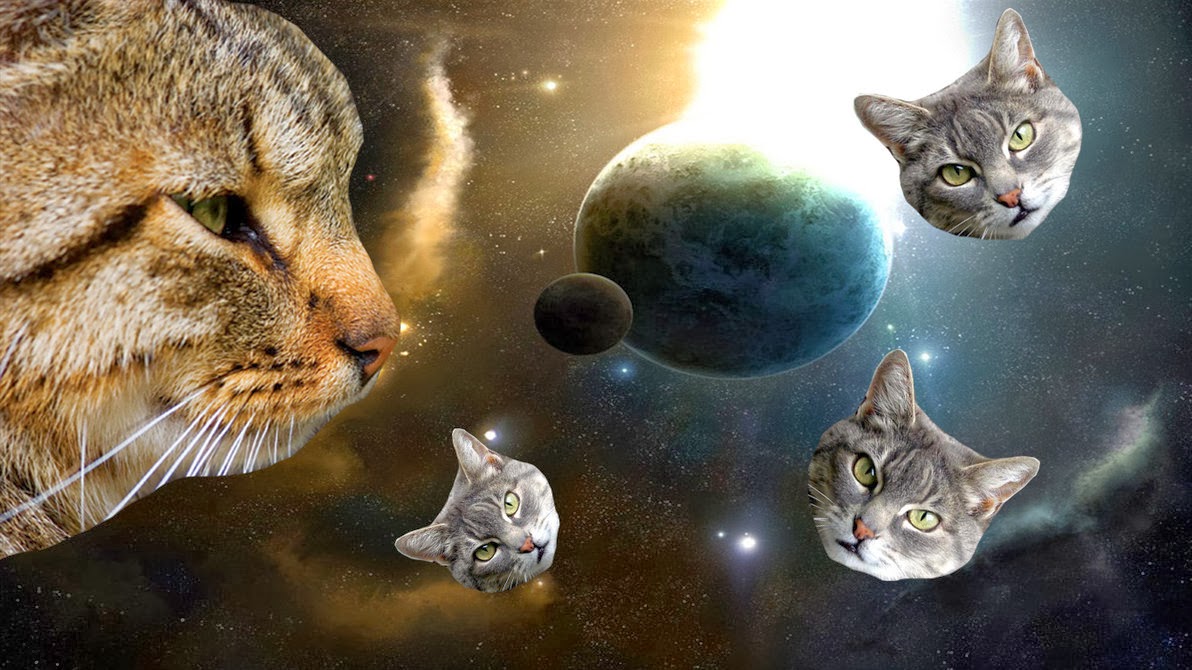 Space Memes The Cat Moons