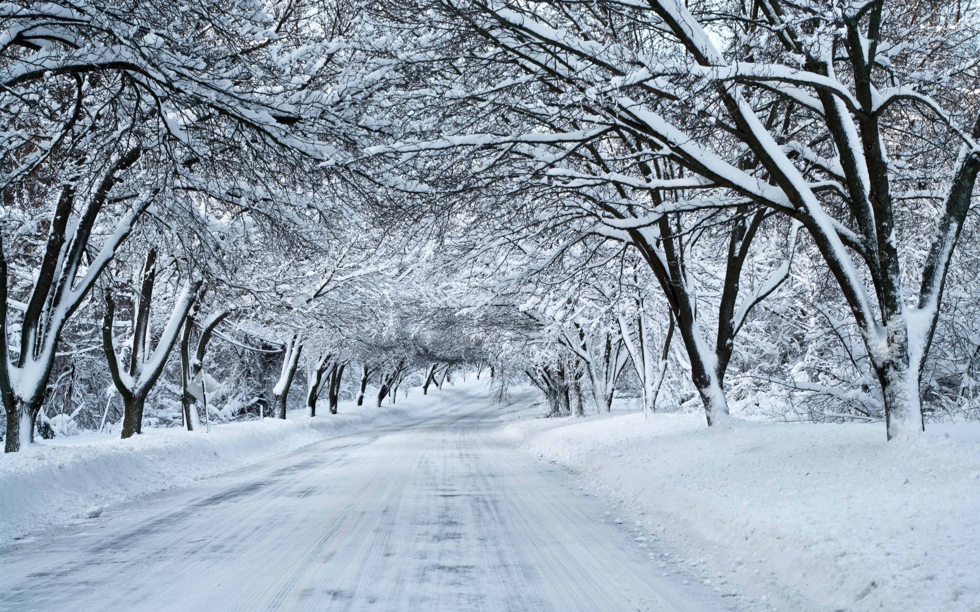 Snow Covered Road Wallpaper