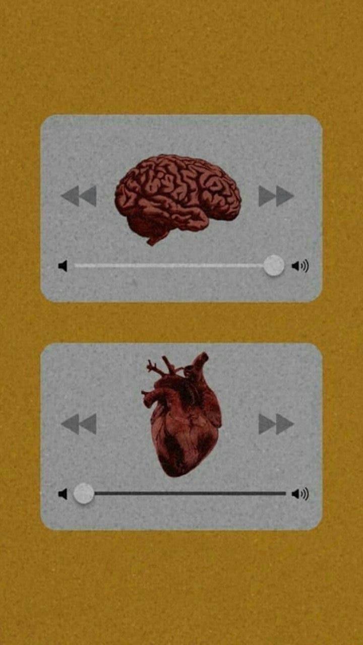 Heart Vs Mind Discovered By Mariam Magdy On We It
