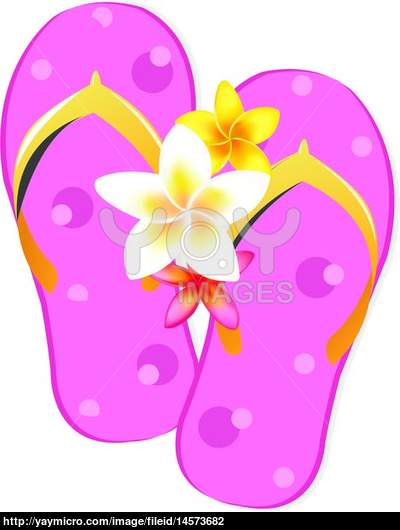 Flip Flop Sandals With Plumeria Flowers Isolated On White Background