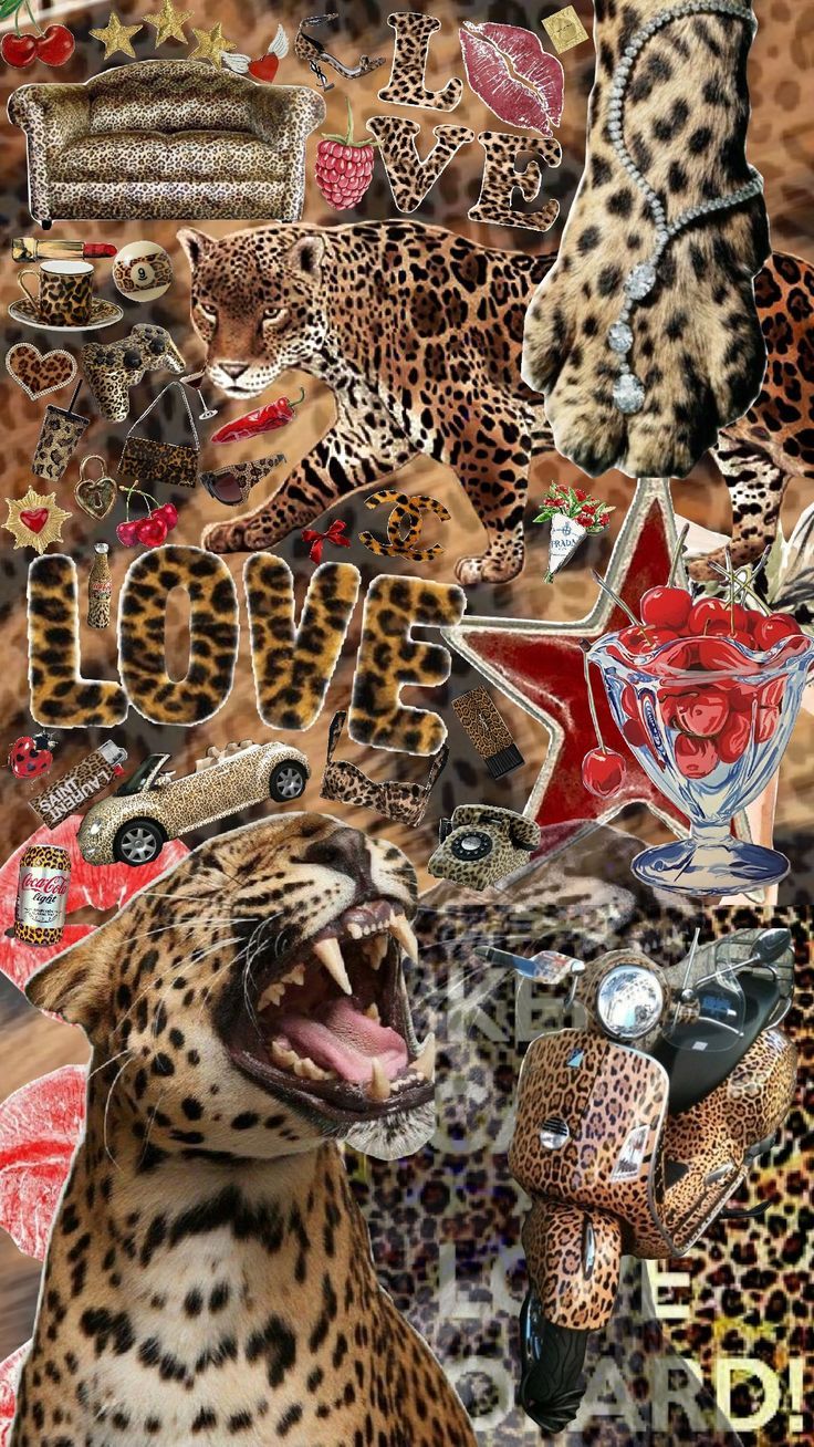 Leopard Aesthetic Wallpaper