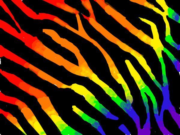 Zebra Print Rachel S Board Rainbow