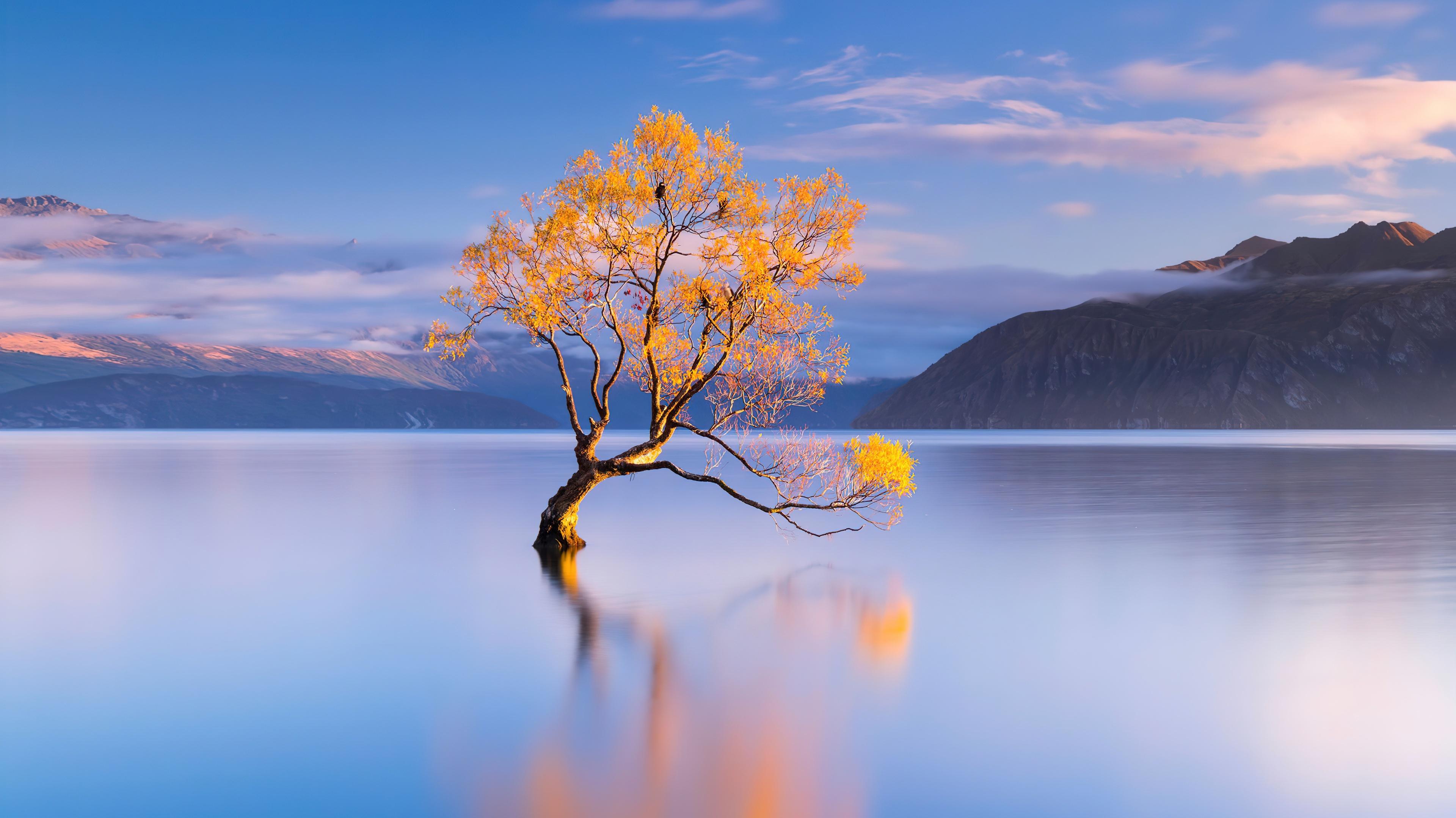  Download High Quality 4k Wallpaper For By rmontgomery 2023 Nature 