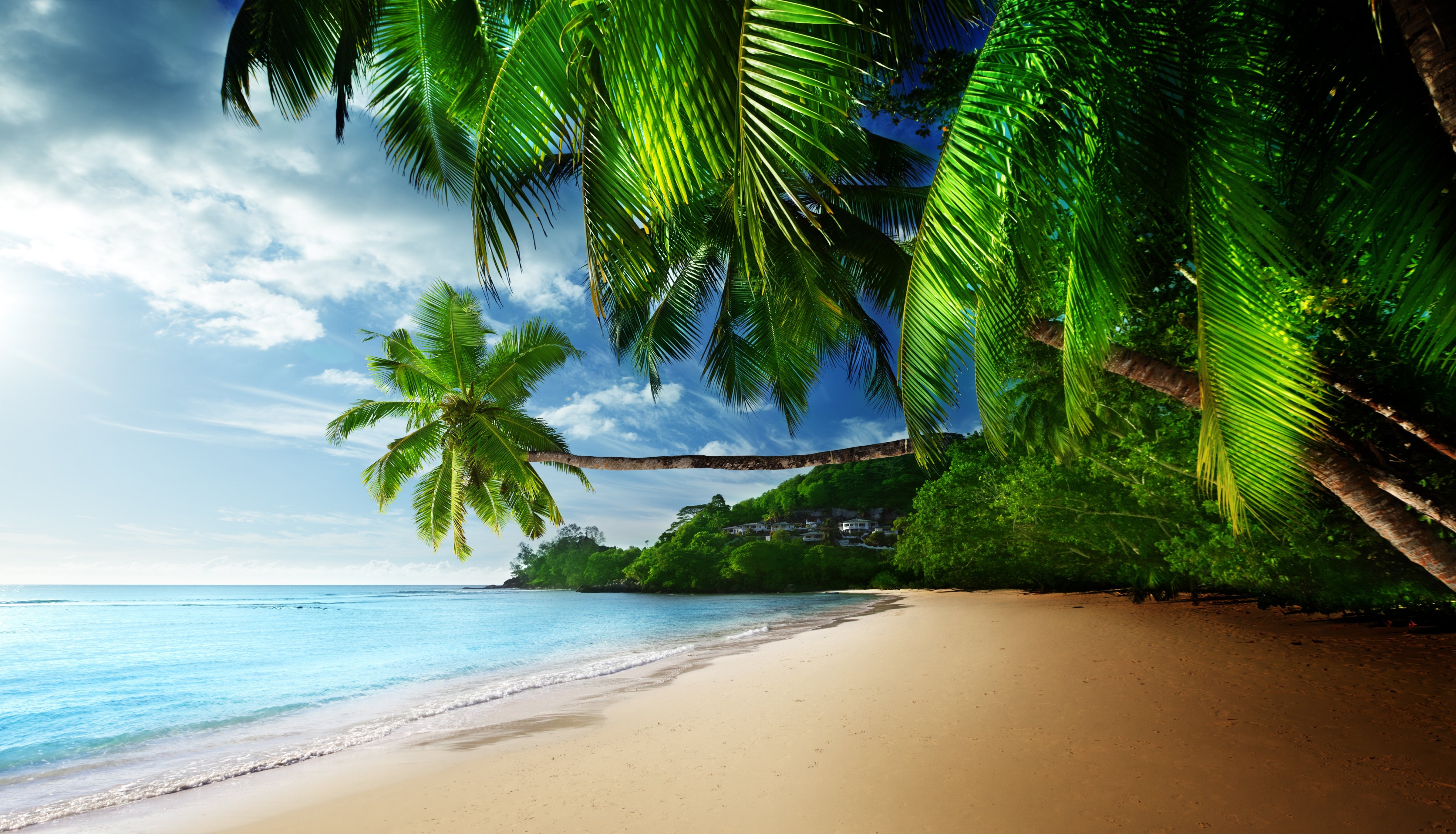Tropical Paradise Coast Wallpaper HD