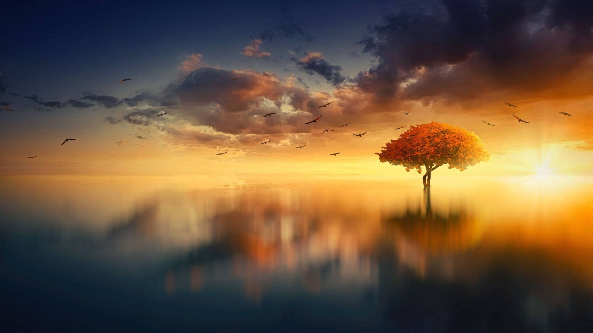 Calm Aesthetic Wallpaper