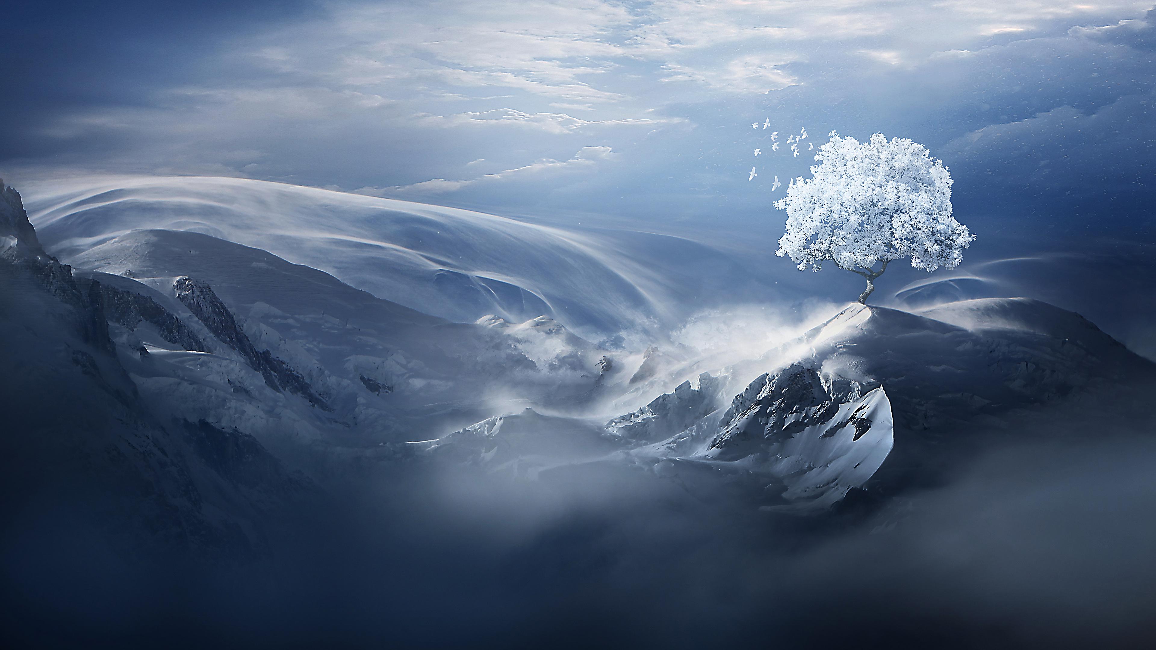 Winter Snow Tree Mountain Scenery Landscape 4k Wallpaper
