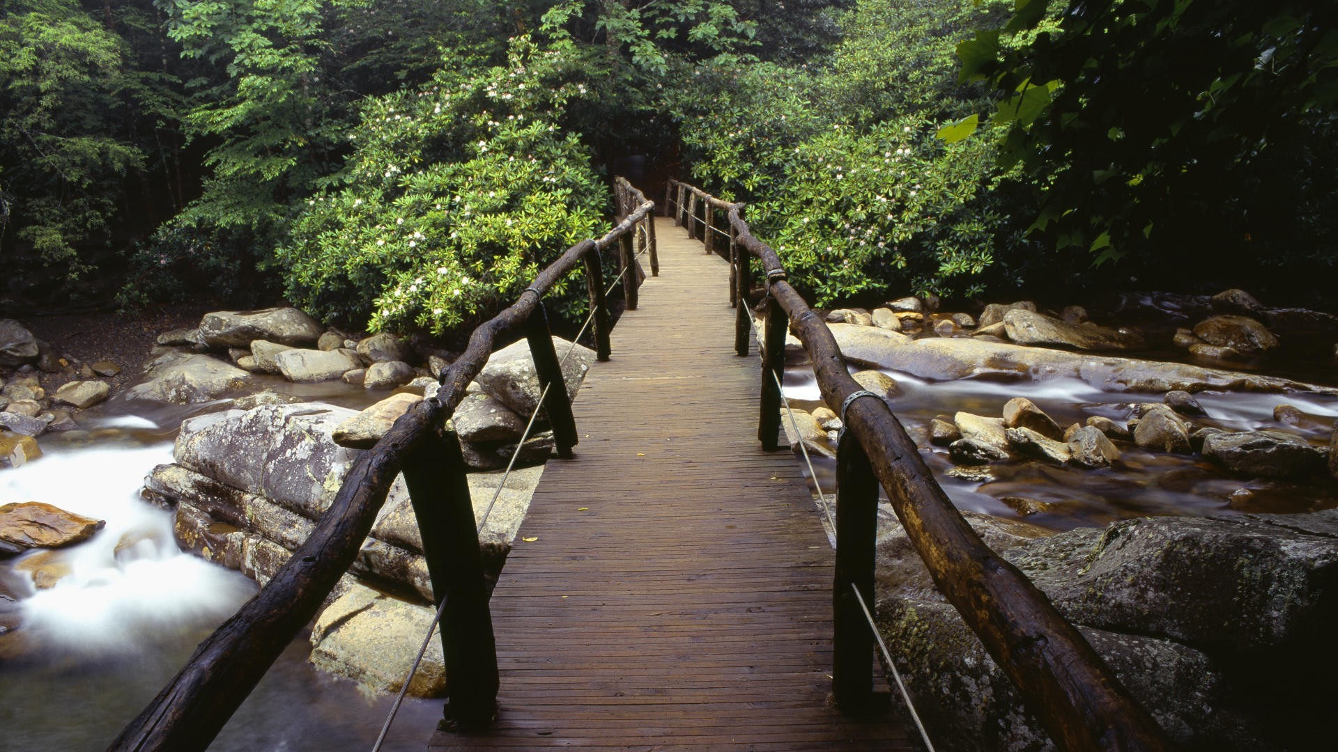 Bridge In The Great Smoky Mountains National Park Wallpaper