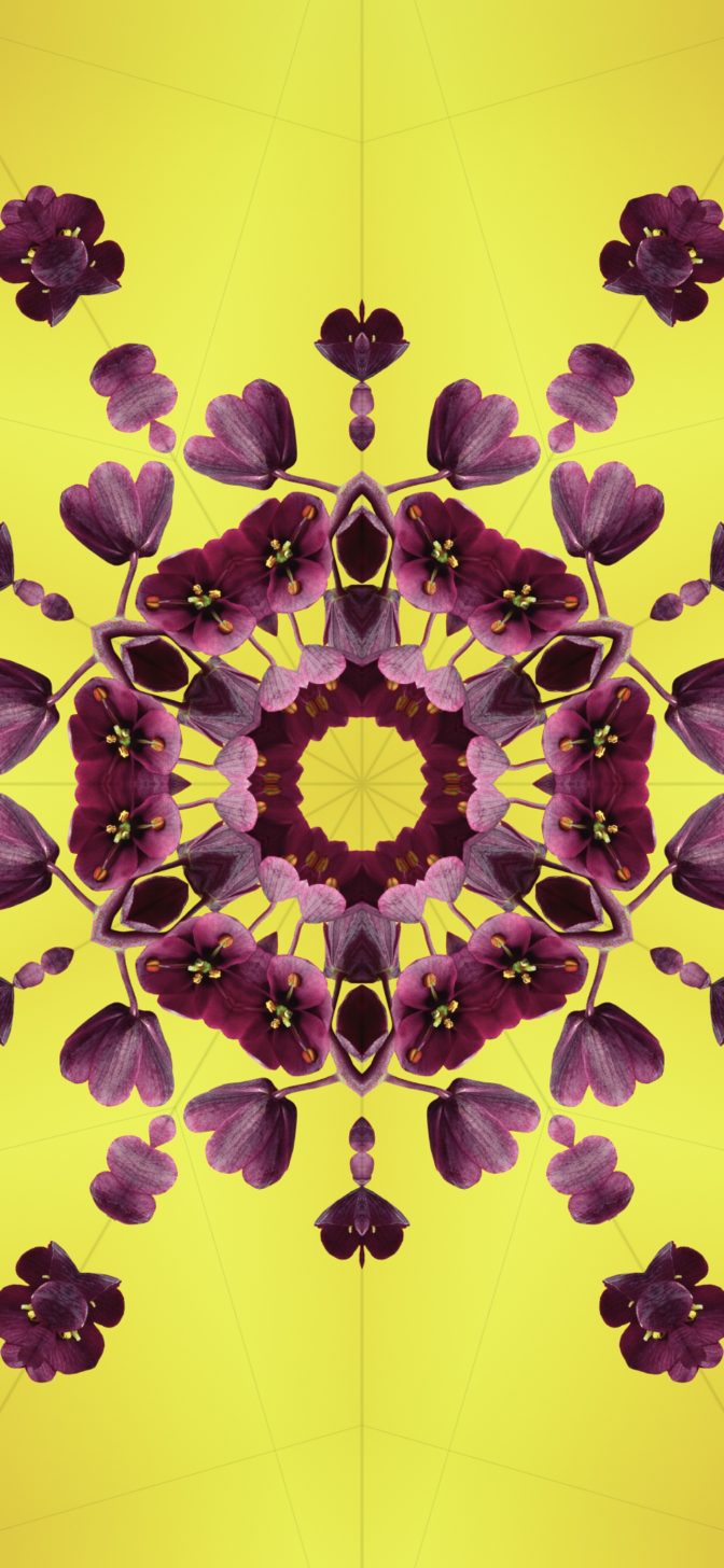 Official Ios Wallpaper For Your iPhone