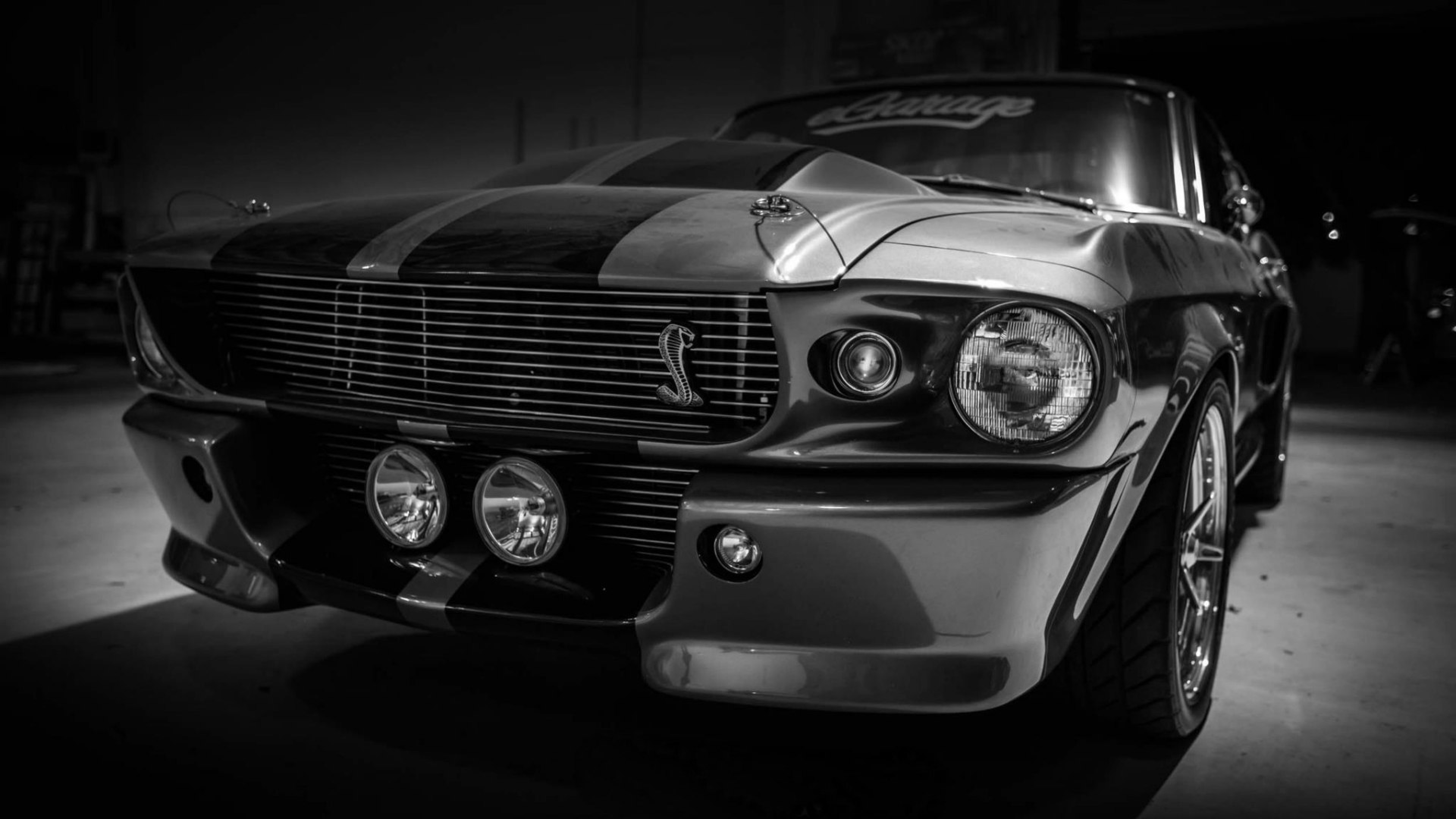 Classic Black and White Photo of a Ford Mustang Shelby GT500