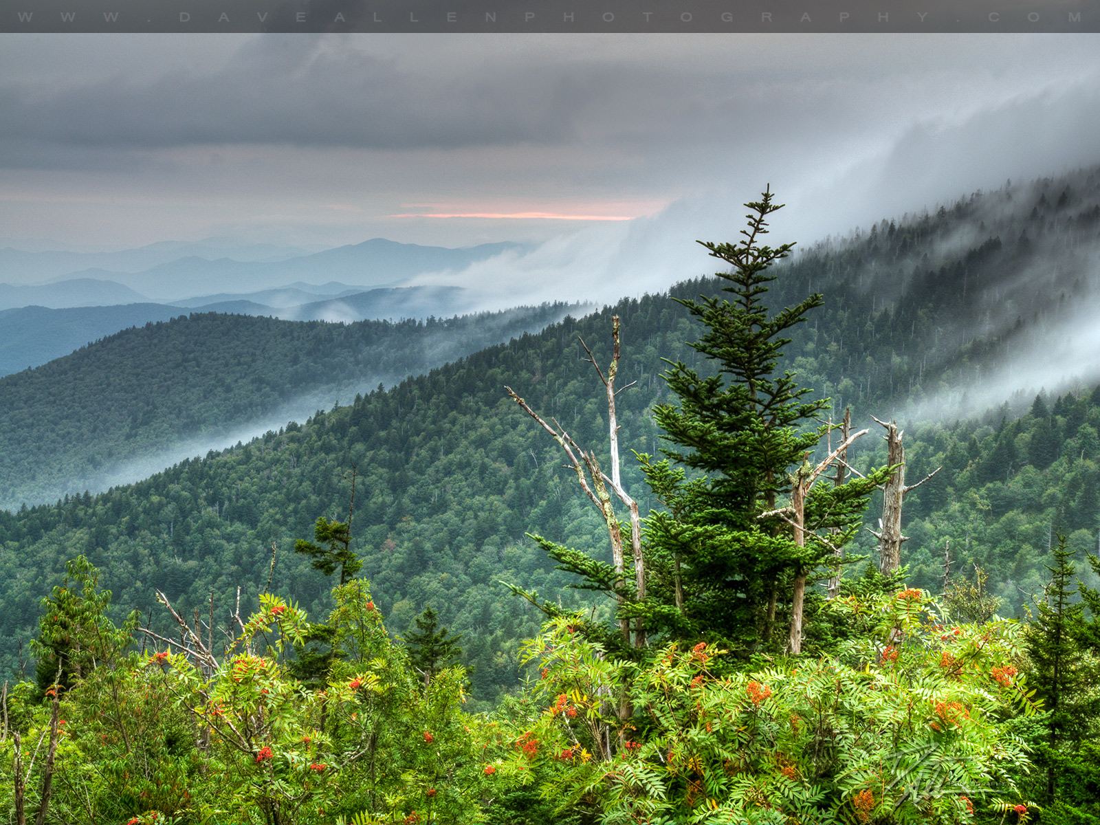 Clingmans Dome   Great Smoky Mountains Landscape Photography