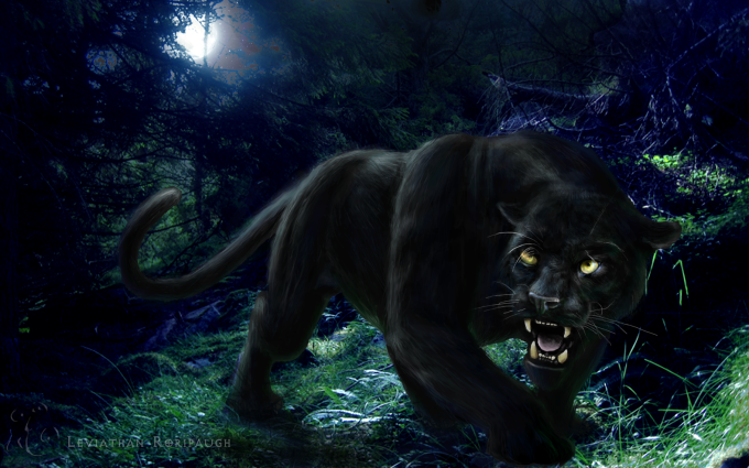 Black Panther Free Desktop HD Wallpaper