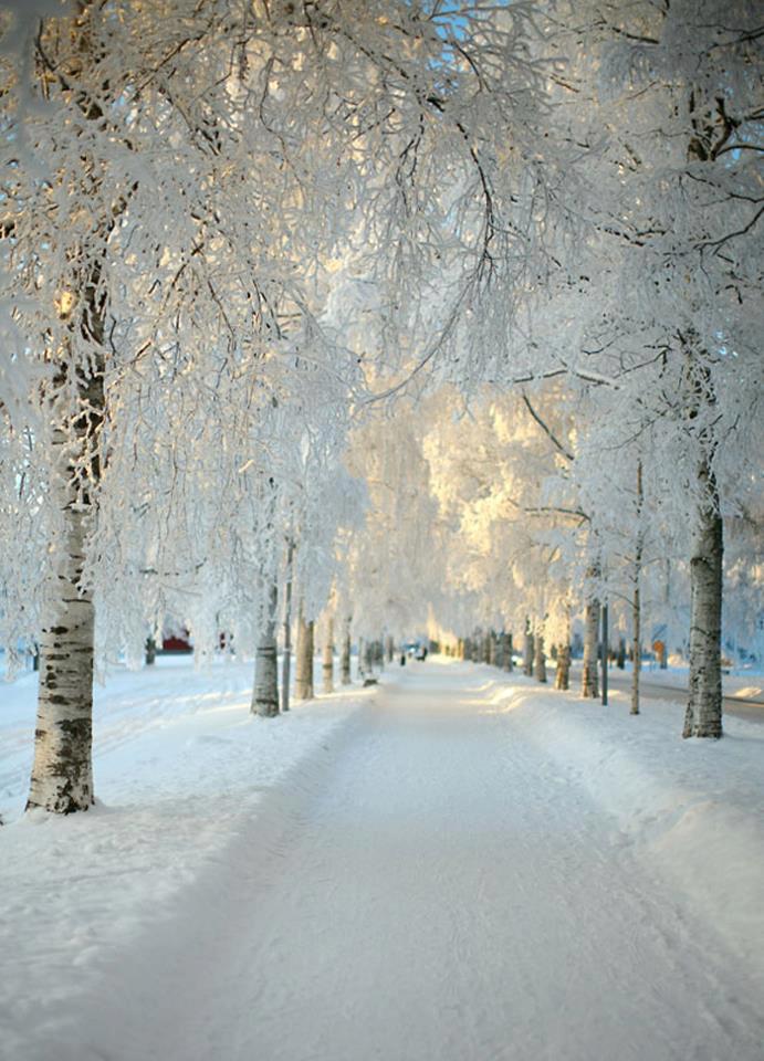 Winter Wonderland Switzerland