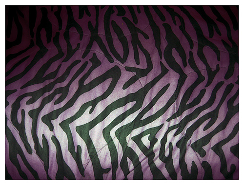 Zebra Purple Wallpaper Cake Ideas And Designs