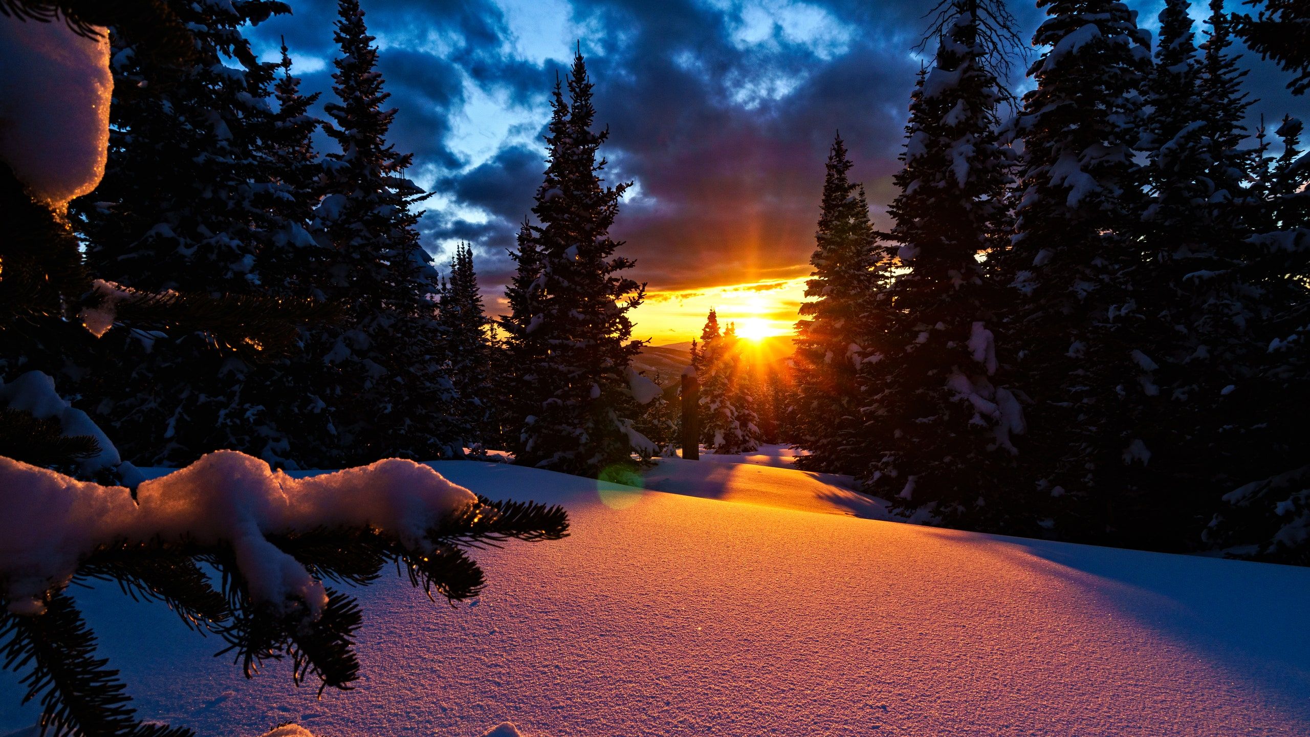 Winter Solstice HD Wallpaper