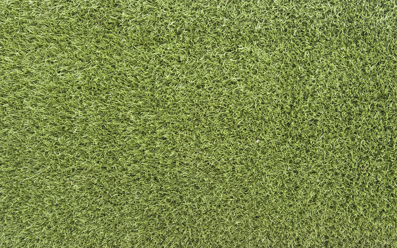 Textured Grass Wallpaper Grasscloth