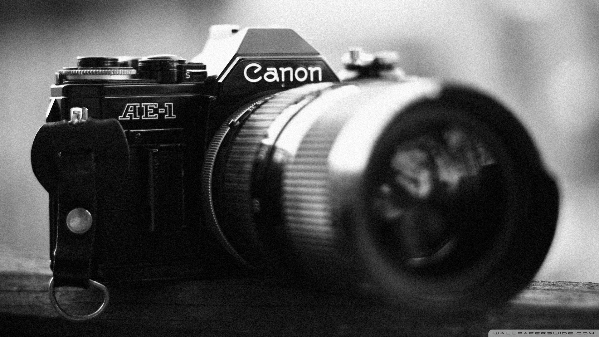 canon camera DSLR