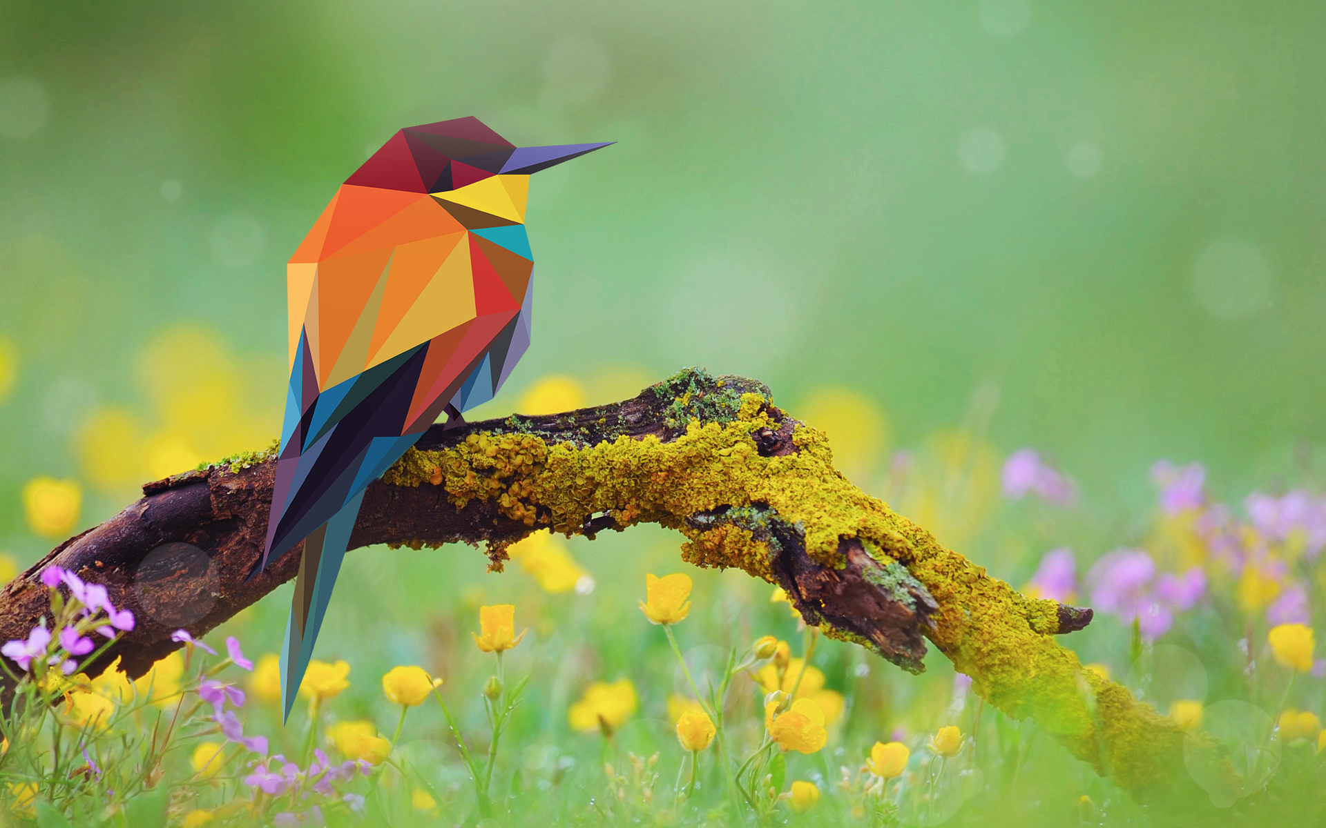 2d Low Poly Bird On A Branch I