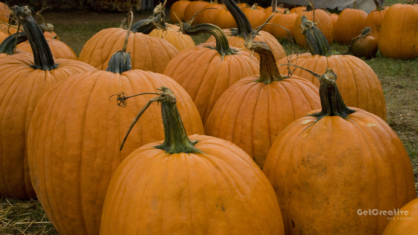 Fall Pumpkins Background Desktop Background