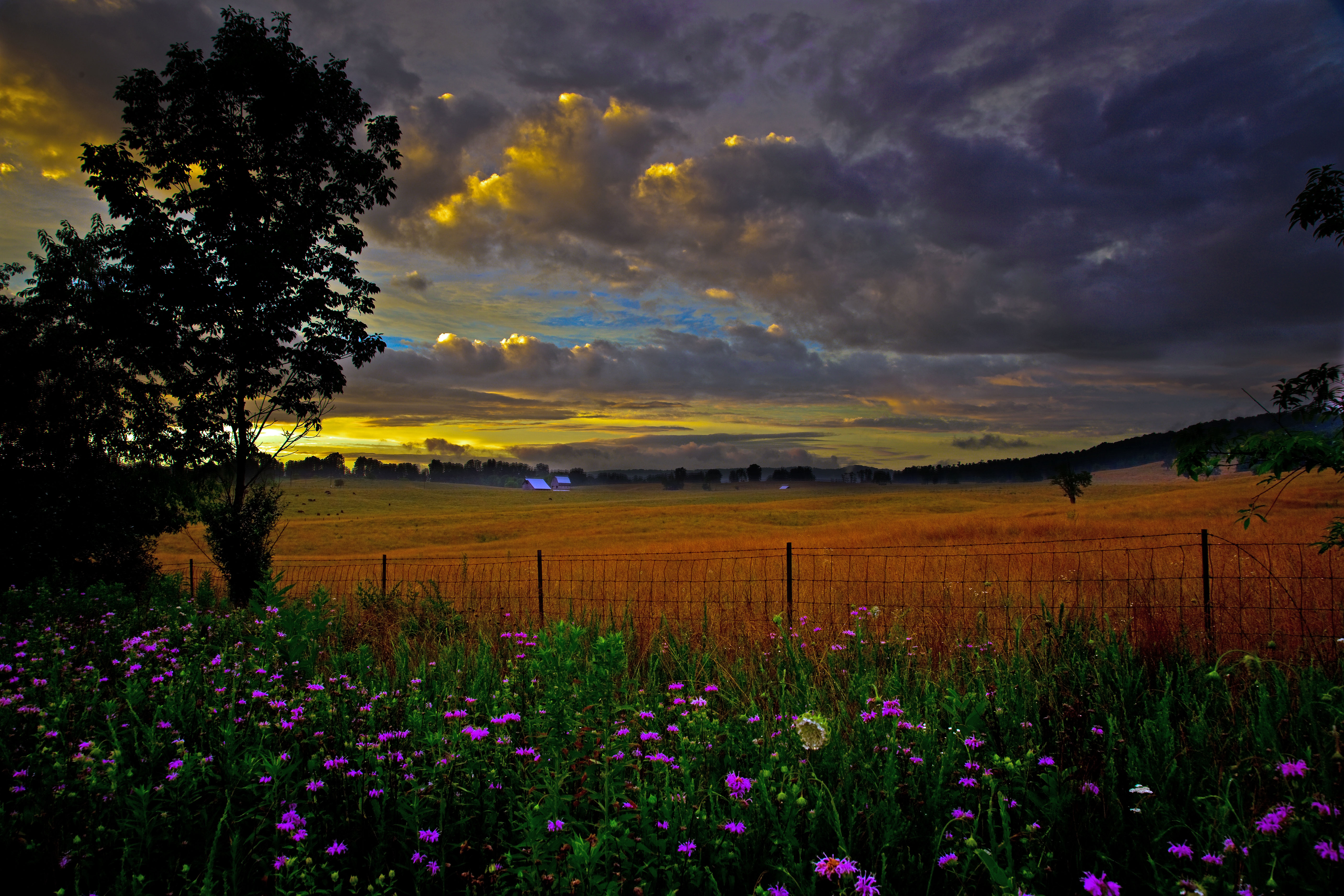 Country Scenery Wallpaper On