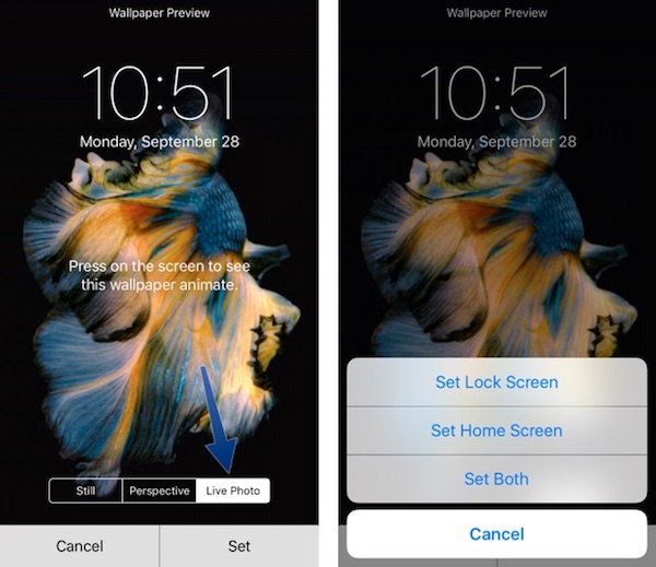 free-download-how-to-set-and-use-live-wallpapers-on-iphone-6s-and