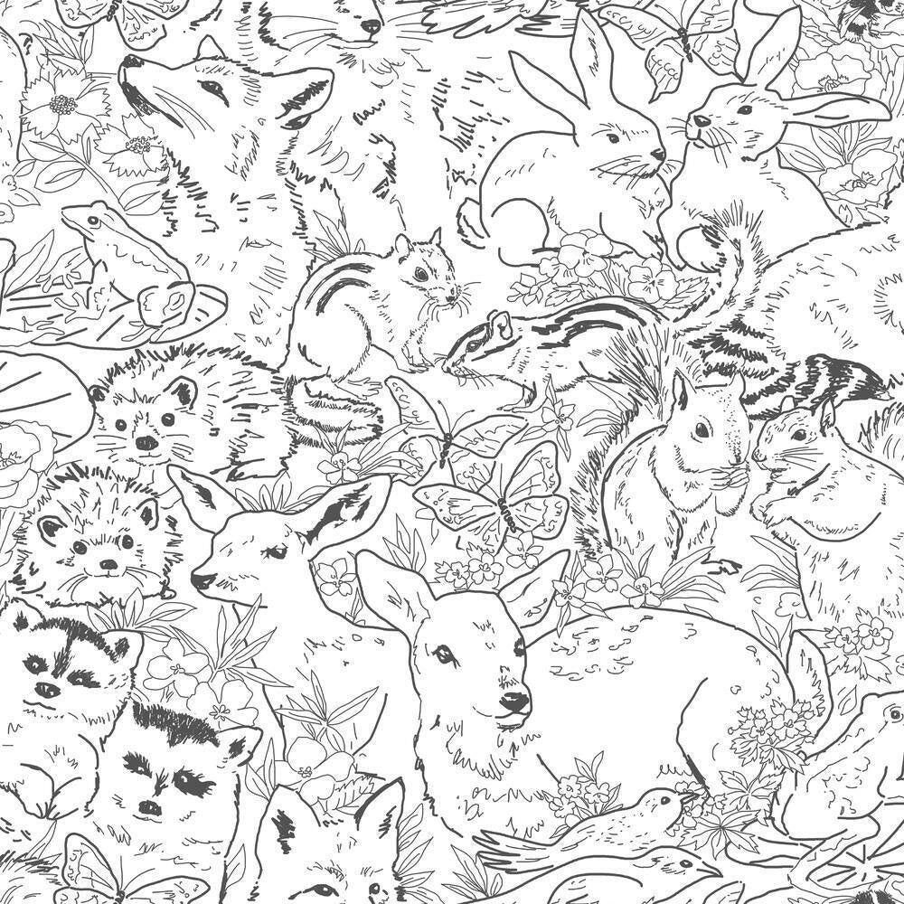 Black And White Animal Wallpaper