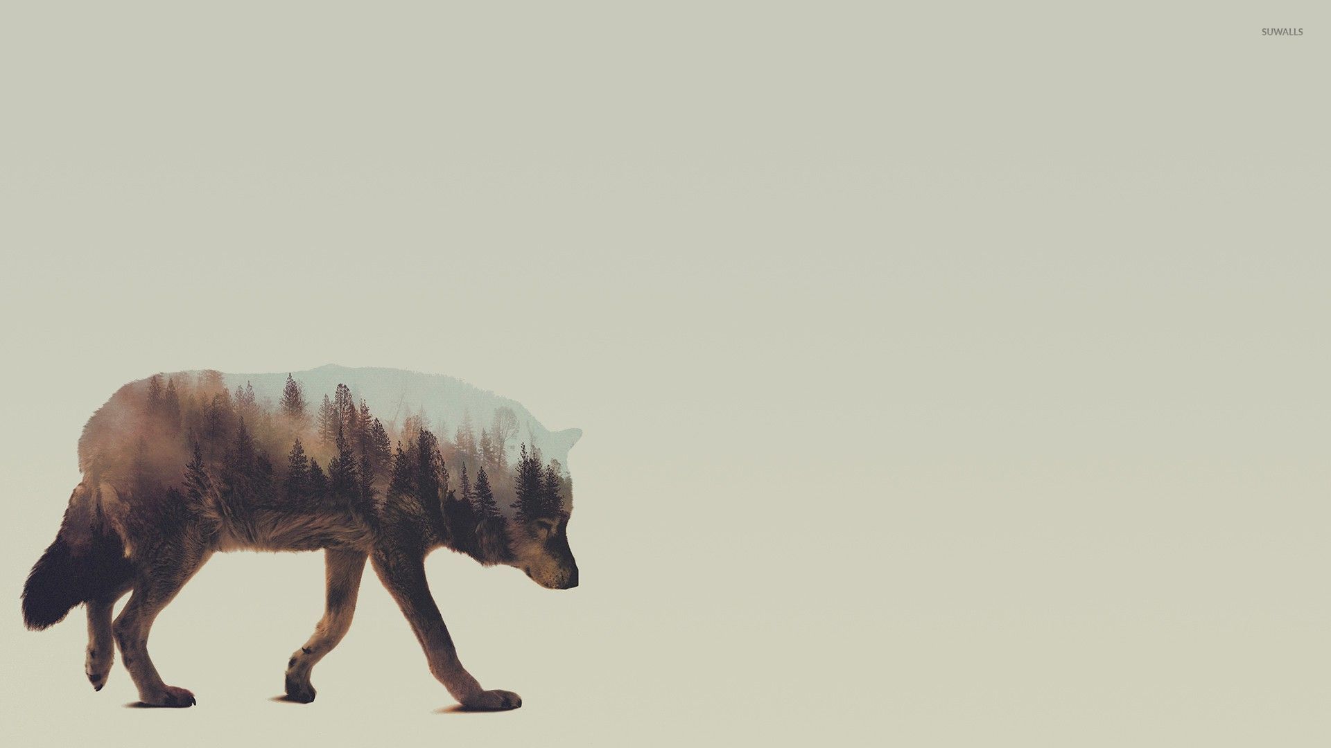 Lonesome Wolf Wallpaper Digital Art
