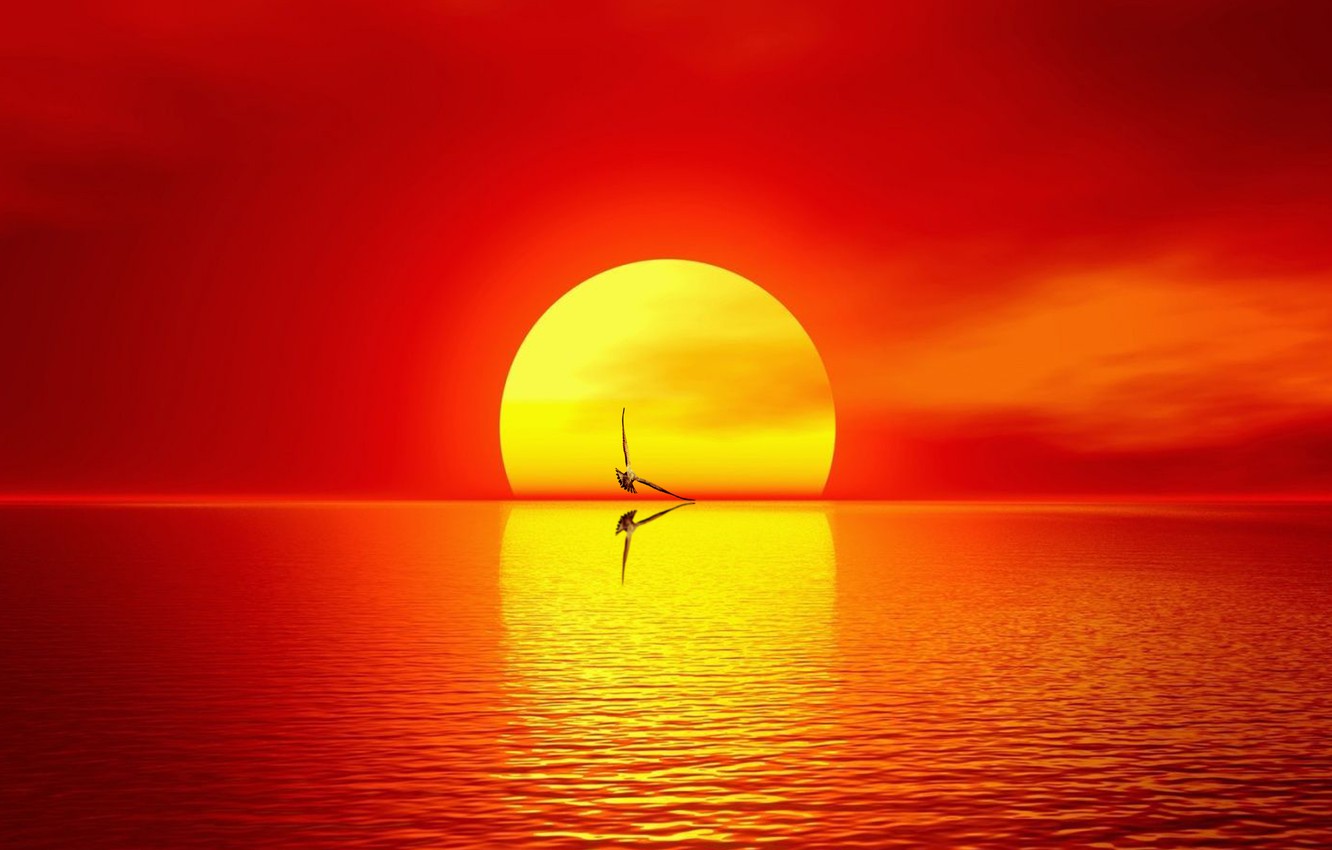 Wallpaper sea sun seaside rising sun images for desktop 1332x850