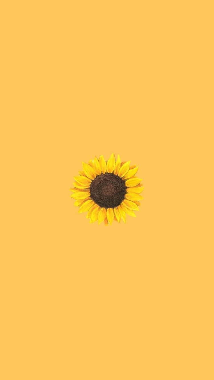 Yellow Aesthetic iPhone Wallpaper