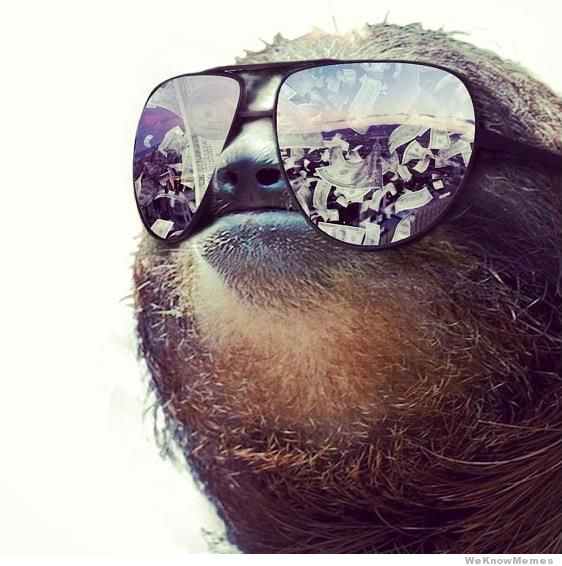 sloth sunglasses meme