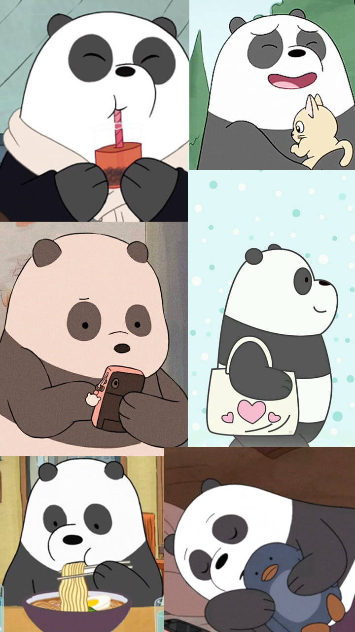 Panda We Bare Bears Wallpaper