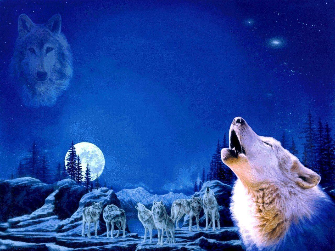 Wolf Howling Wallpaper
