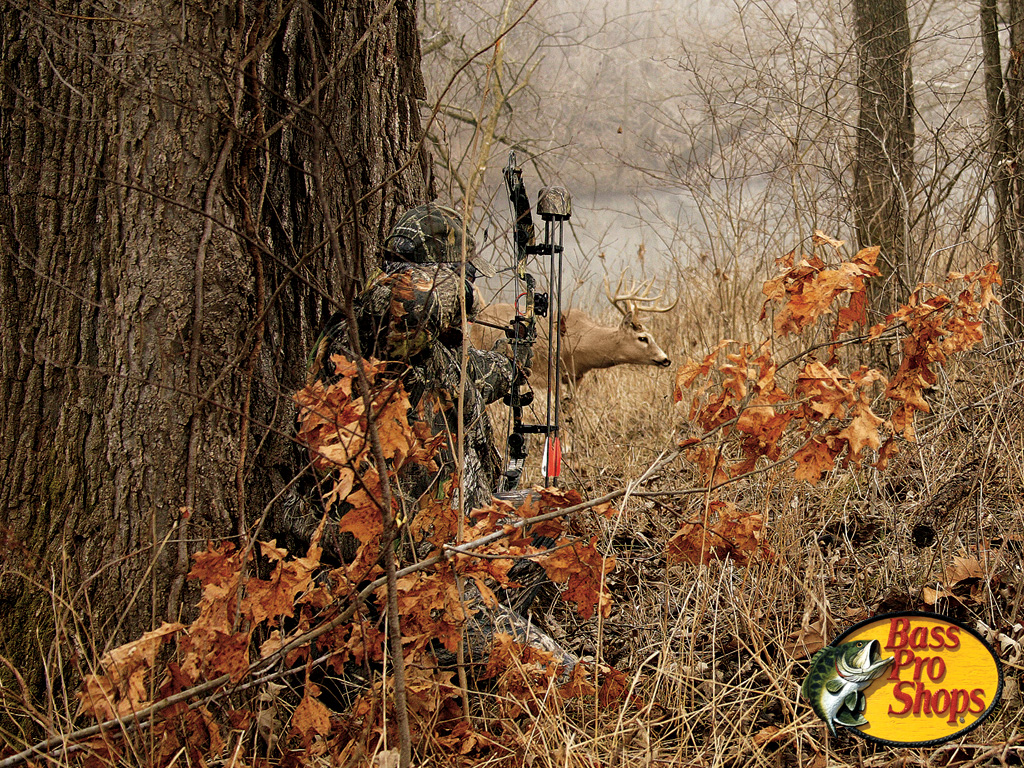 Deer Hunting Camo Background X
