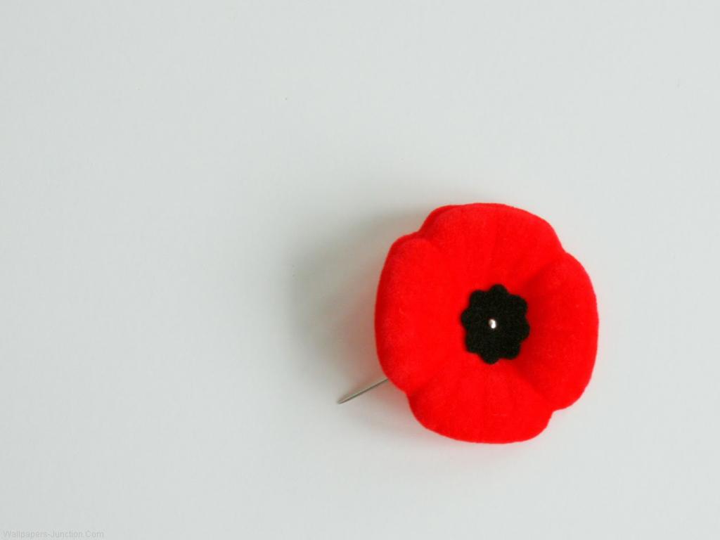 Remembrance Day Also Known As Poppy Or Armistice