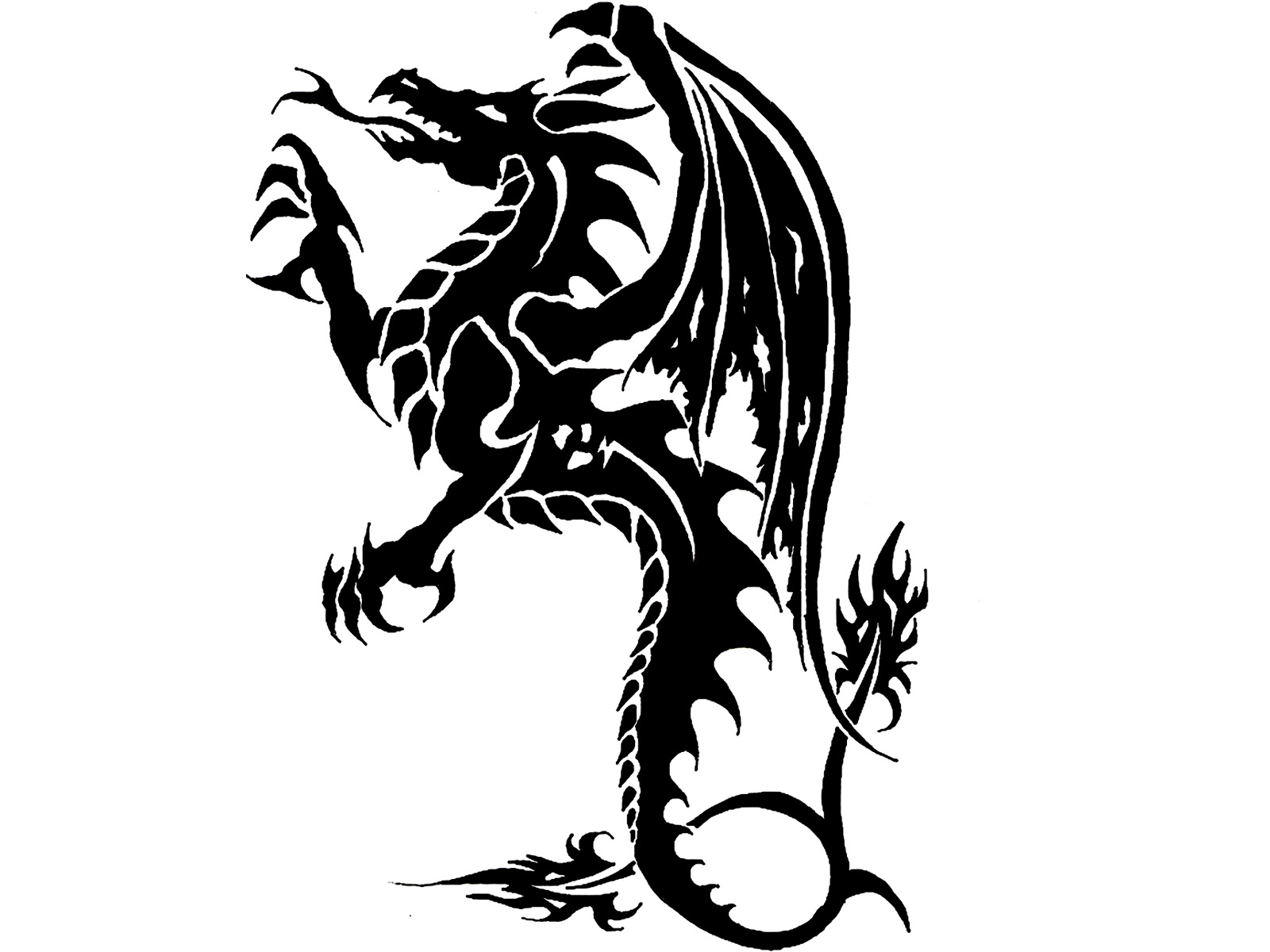 Dragon Tattoo Wallpaper Image Of