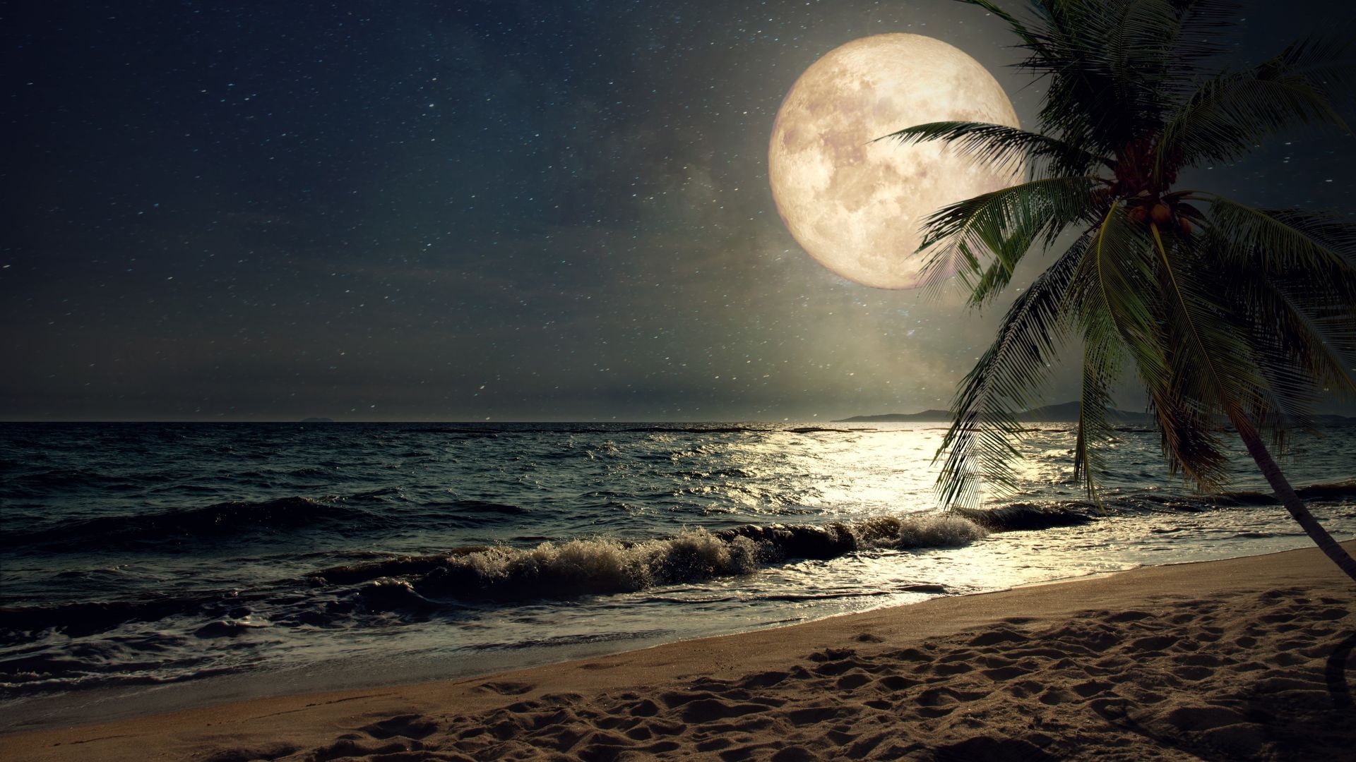 Desktop wallpaper beach sand nights moon palm tree nature hd 1920x1080