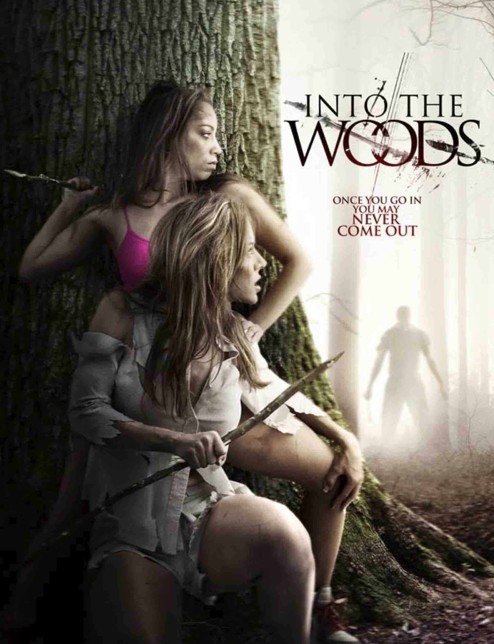 Into The Woods Latest HD Wallpapers Free Download