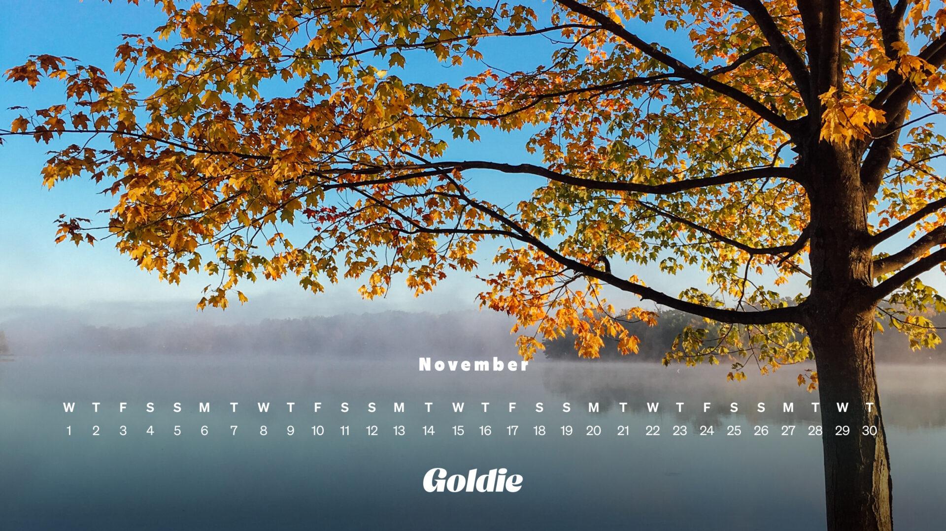 🔥 Download November Wallpaper Calendars Desktop Mobile by nwalsh