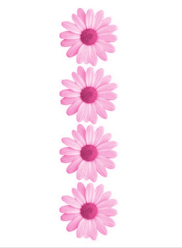 Love word Wallpaper 4K Daisy flowers Typography 8649