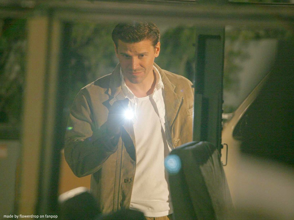 David Boreanaz Wallpaper