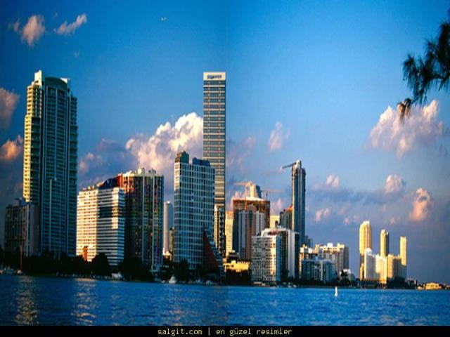 Wallpaper Picture Miami Photo