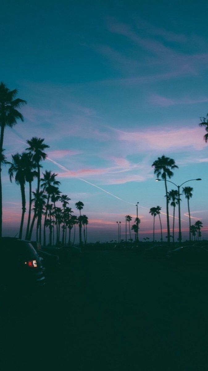 California Summer Wallpaper