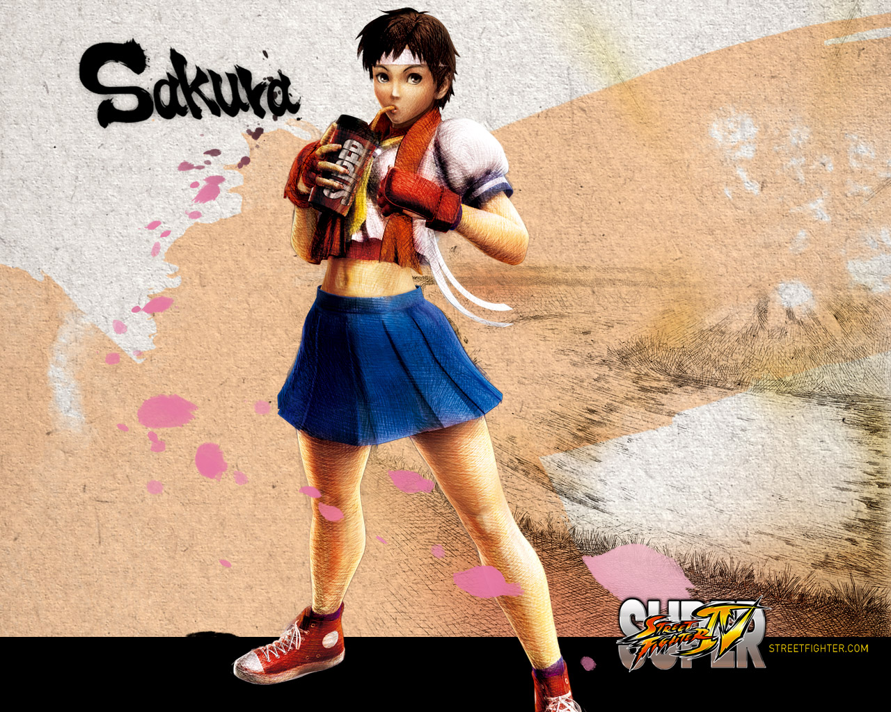 Sakura Super Street Fighter Iv