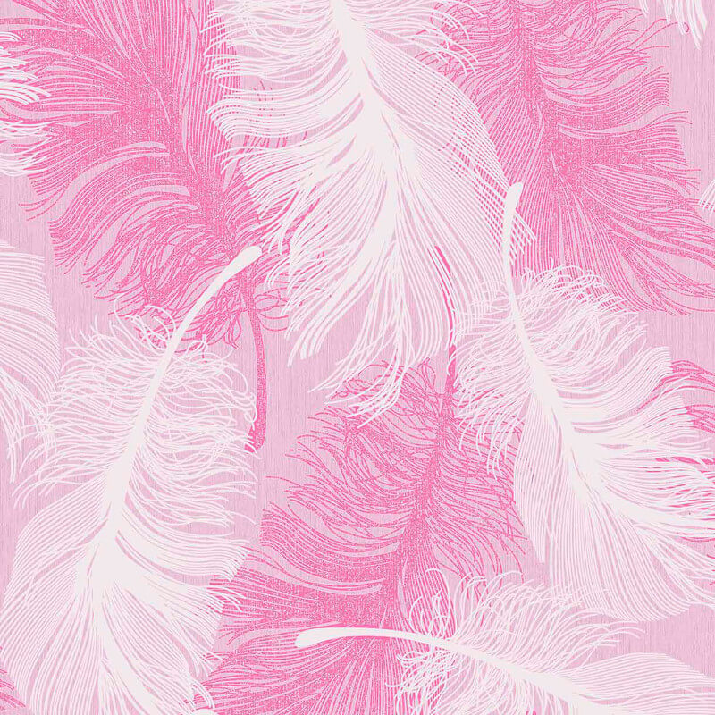 Feathers Wallpaper Image In Collection