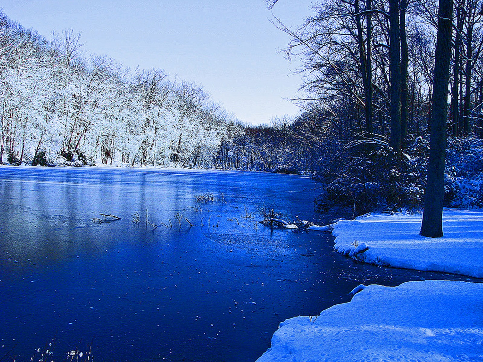 Winter Scenery