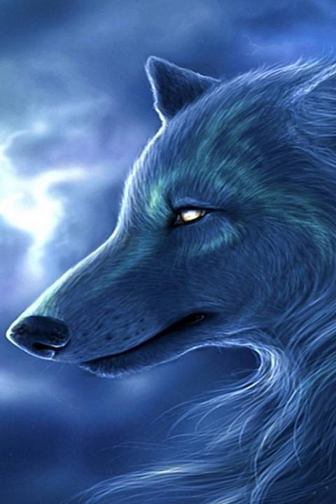 Wolf HD Wallpapers FREE   Android Apps on Google Play