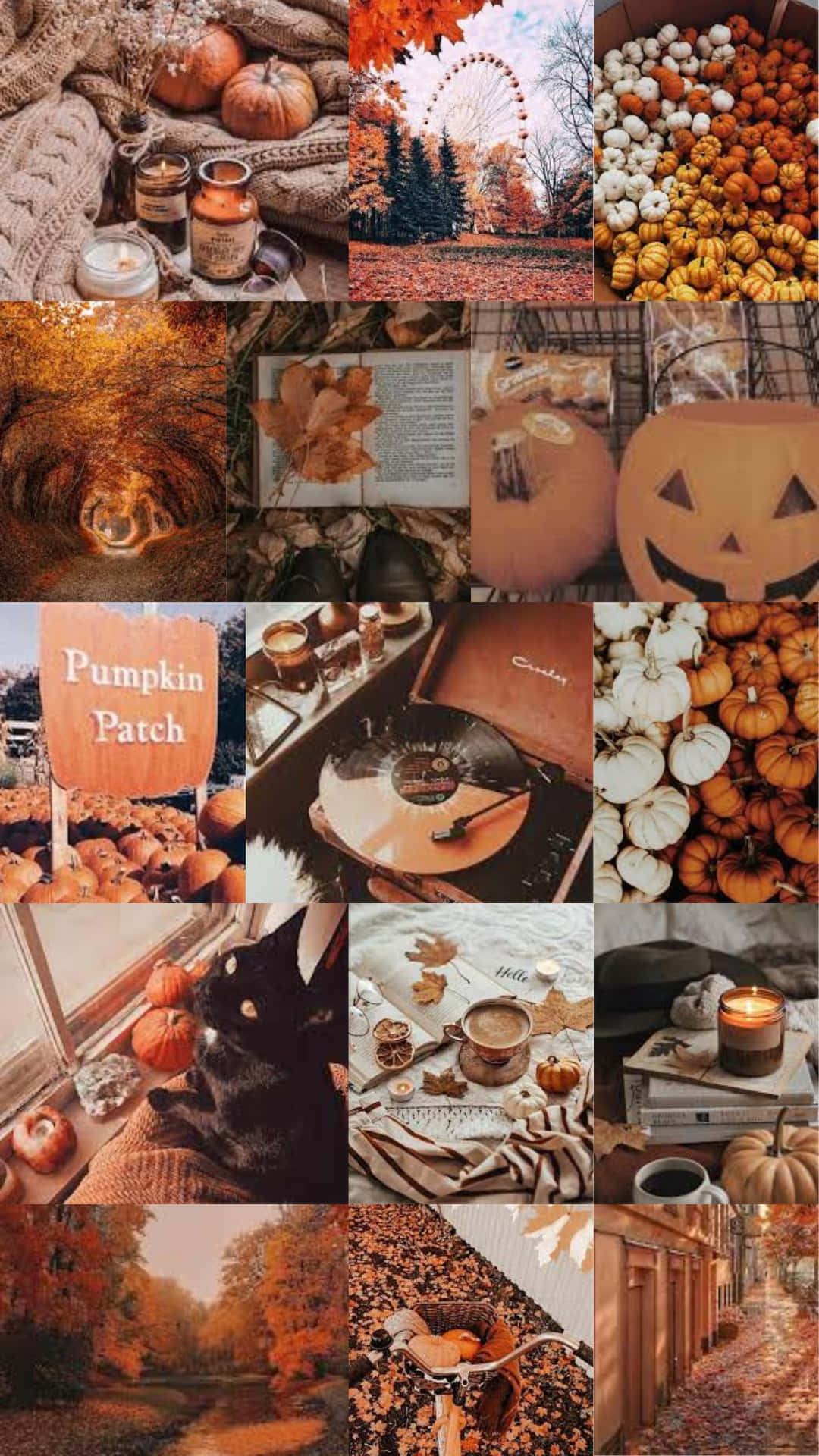 Fall Halloween Aesthetic Wallpaper